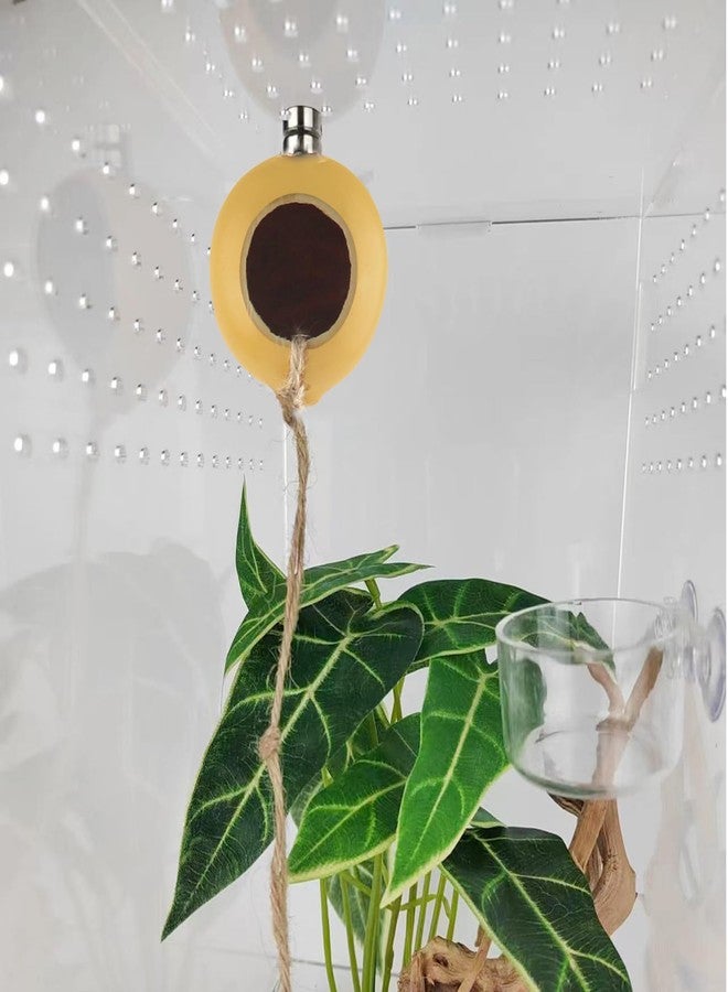 NANEEZOO Spider Hide Magnetic Jumping Spider Habitat Made of Natural Gourd, Handmade Insect Hideout Enclosure Accessories, Cute Decoration for Terrarium Cage - Image 2